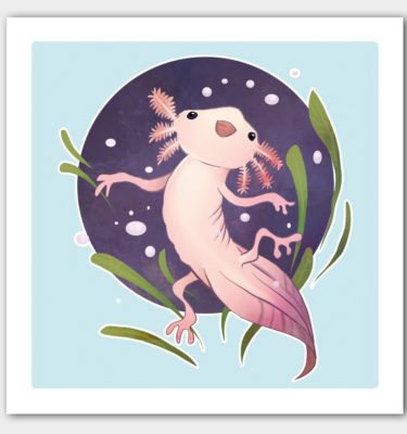 Art print axolotl